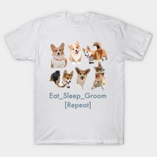 Eat Sleep Groom Repeat T-Shirt